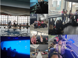 Screenshot 2026-03-02 130552
